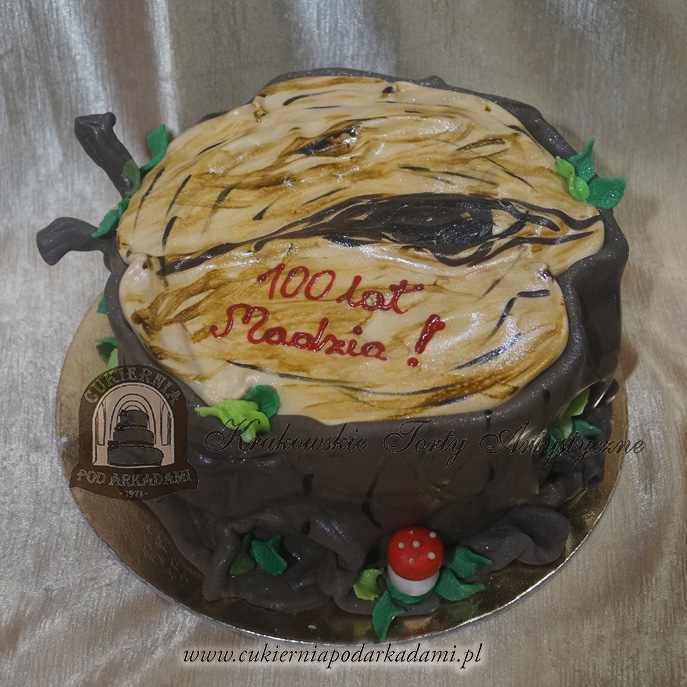 184-AOA-Tort-pien-drzewa-pniak-grzybek-sciete-drzewo-korzen-cukiernia-pod-arkadami-krakow