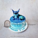 465BD Niebieski tort Stich cpa