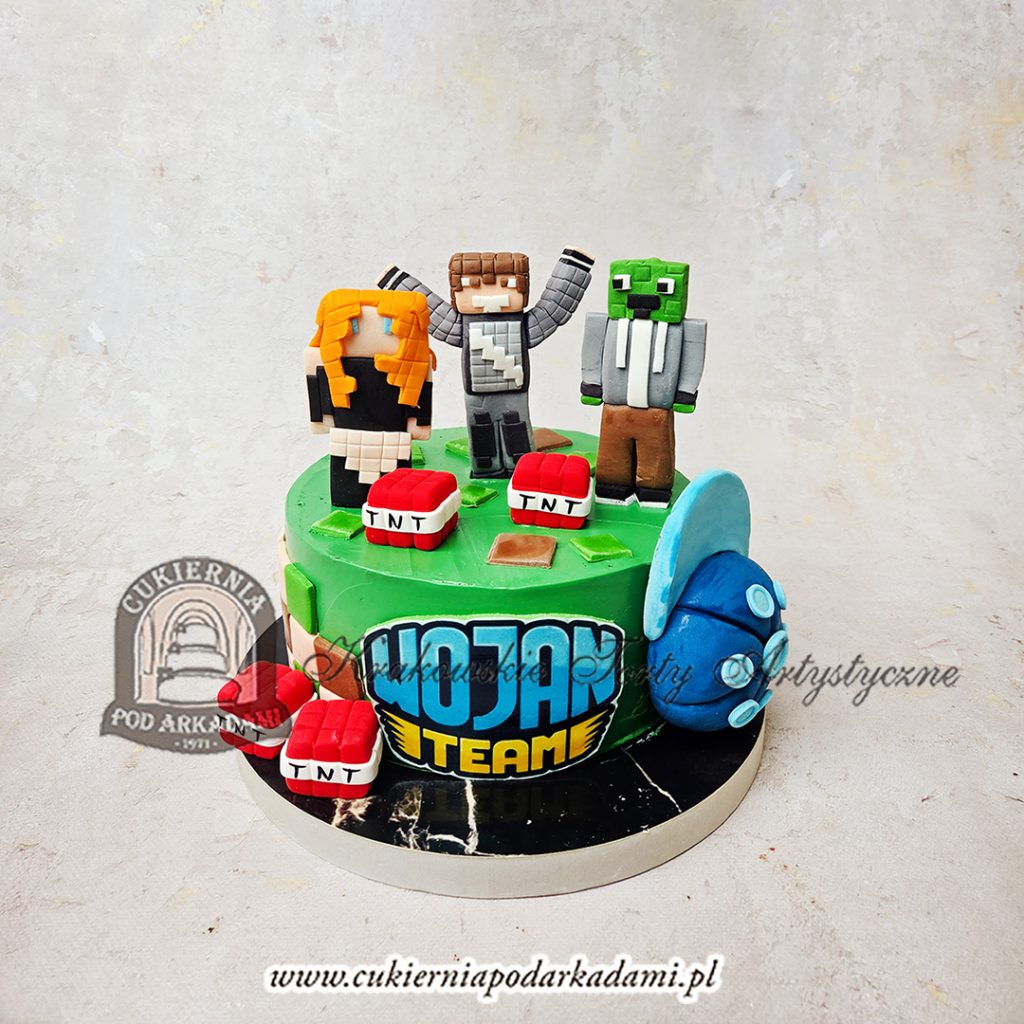 480BD Tort WOJAN team Minecraft cpa