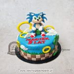 491BD Tort SONIC cpa